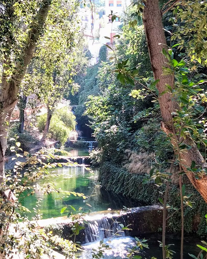 Rio Cerezuelo - Cazorla - Alojamiento Bella Vista Cazorla