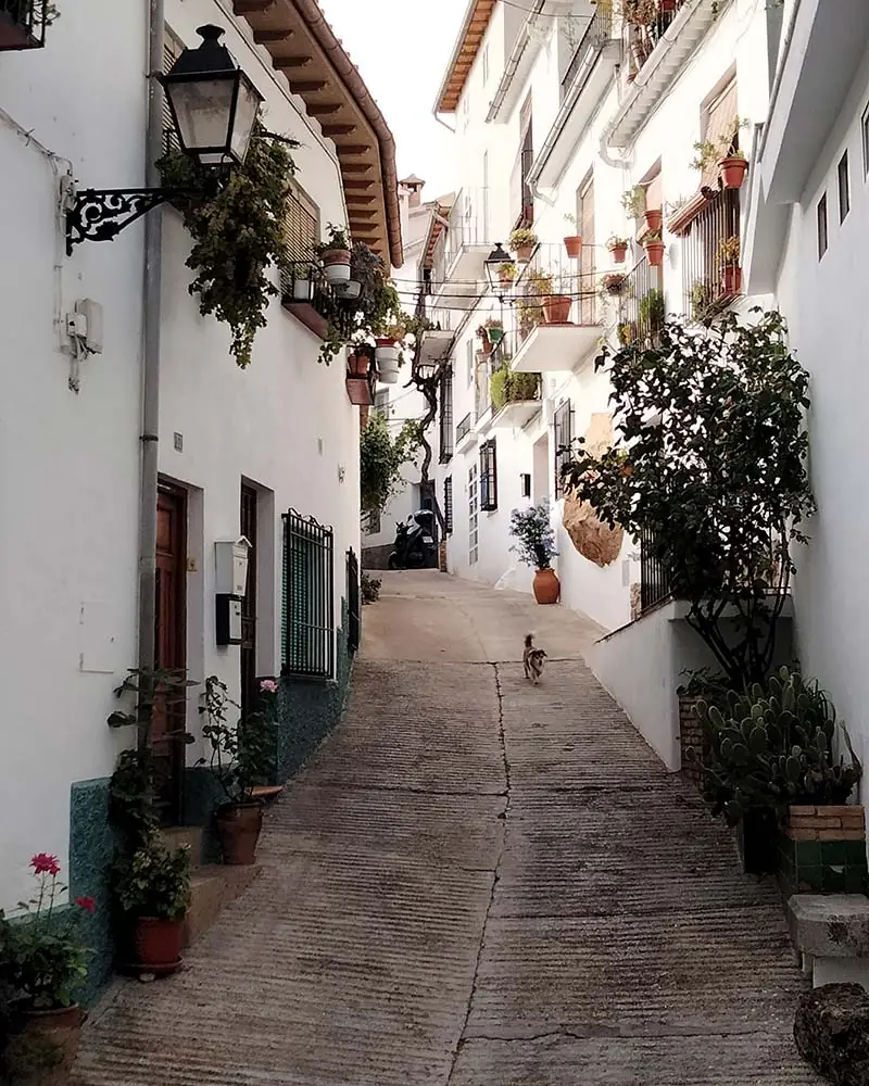 Cazorla - Alojamiento Bella Vista Cazorla