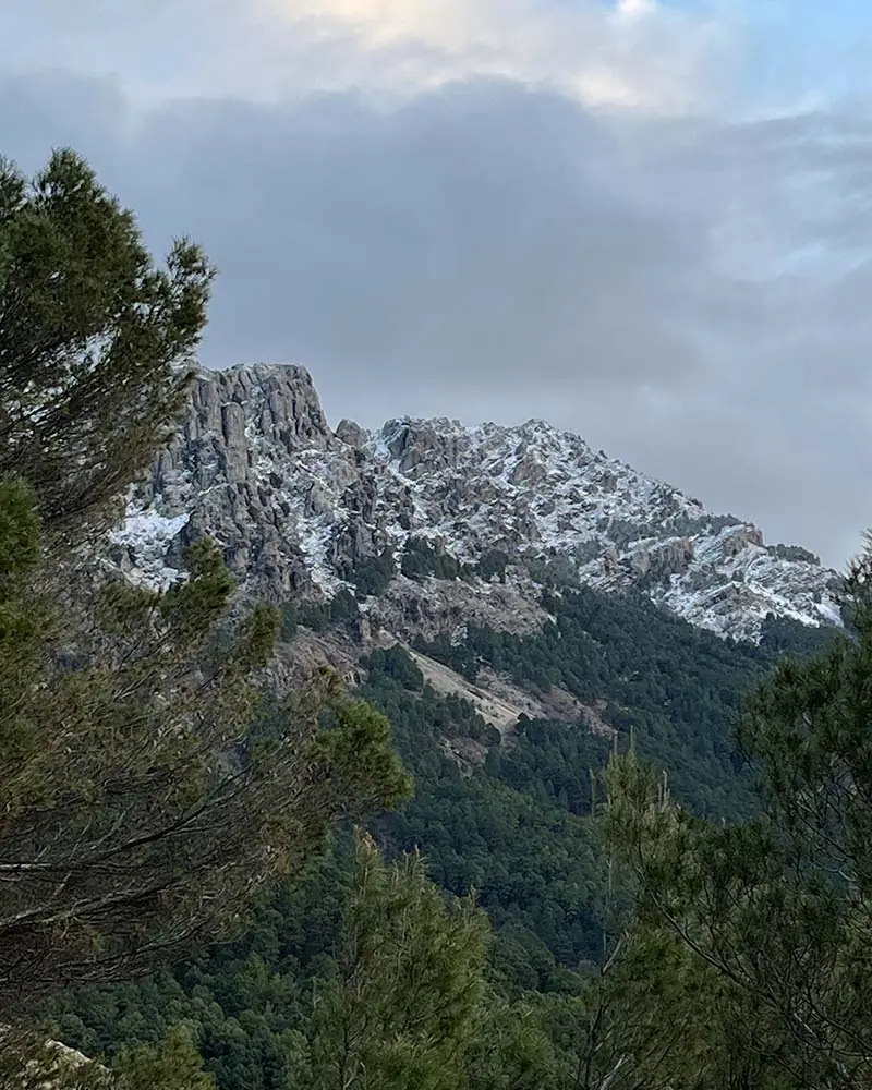 Sierra de Cazorla - Alojamiento Bella Vista Cazorla