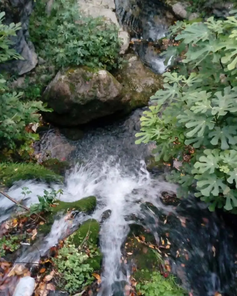 Río Cerezuelo - Cazorla - Alojamiento Bella Vista Cazorla